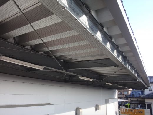 電気工事会社 荷捌場 防鳥工事