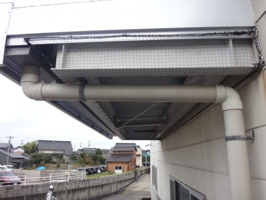 食品会社　防鳥設備工事